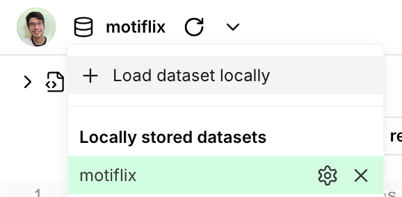 load data locally
